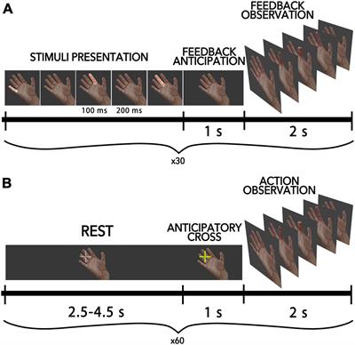 Beyond passive observation: feedback anticipation and observation activate the mirror system in virtual finger movement control via P300-BCI